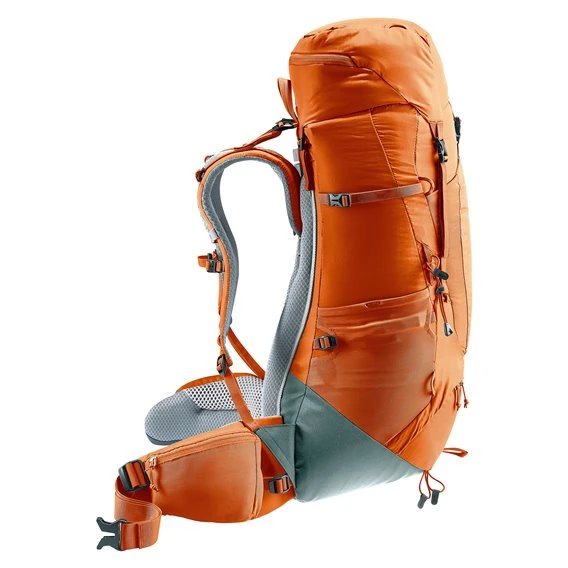 Deuter Aircontact Lite 40 + 10 Trekkingrucksack Chestnut-teal 6 Deuter Aircontact Lite 40 + 10 Trekkingrucksack Chestnut-teal – Bild 6