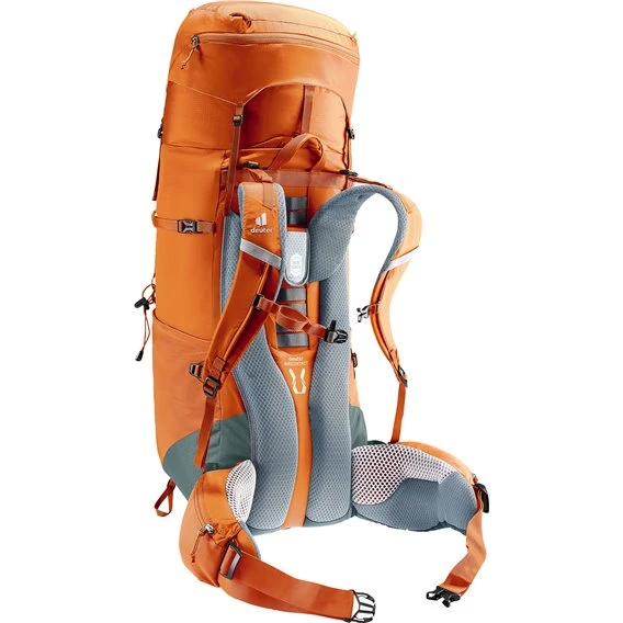 Deuter Aircontact Lite 50 + 10 Trekkingrucksack Chestnut-teal 4 Deuter Aircontact Lite 50 + 10 Trekkingrucksack Chestnut-teal – Bild 4
